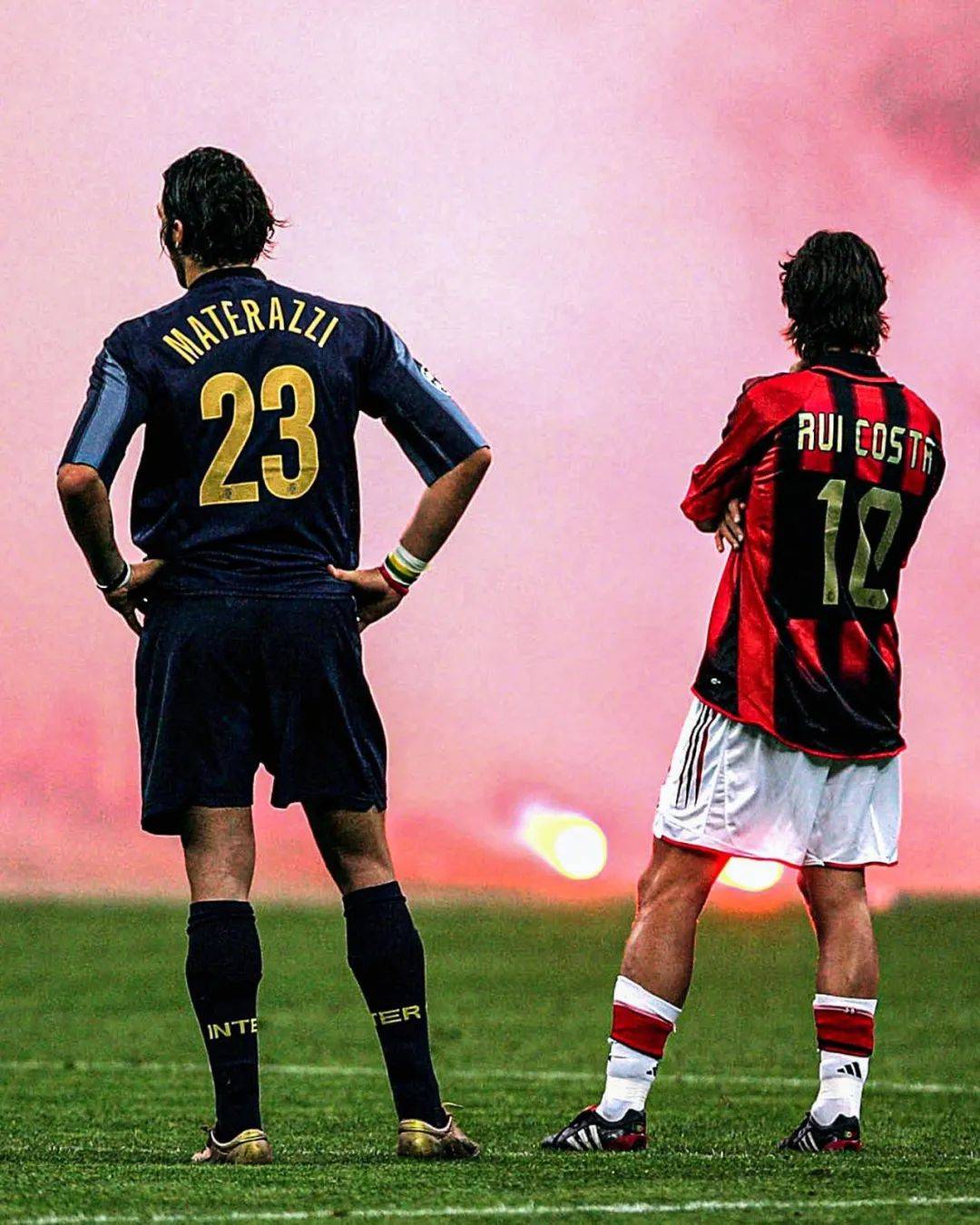 望依靠归化 望依靠归化